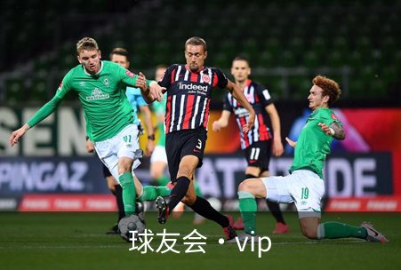 球友会·vip介绍