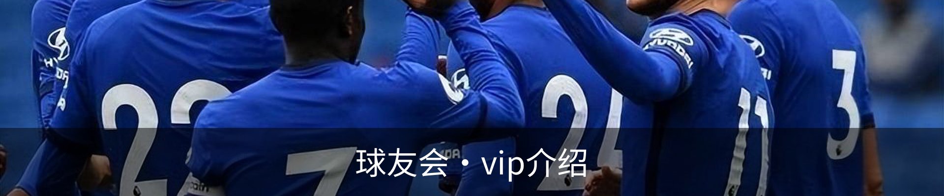 球友会·vip介绍